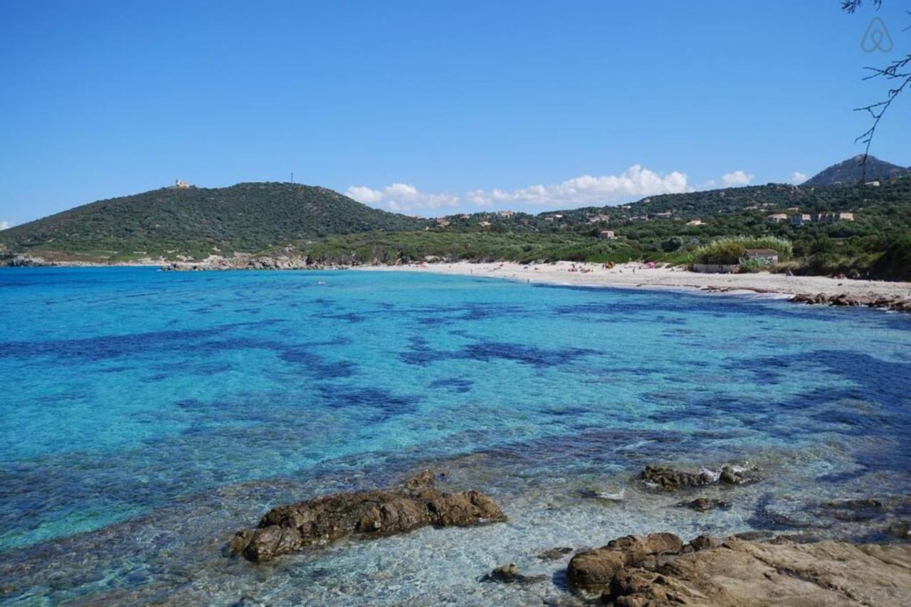 L'orangeraie Calvi Centre A 300m De La Et Du Port Parking Prive Calvi (Corsica)
