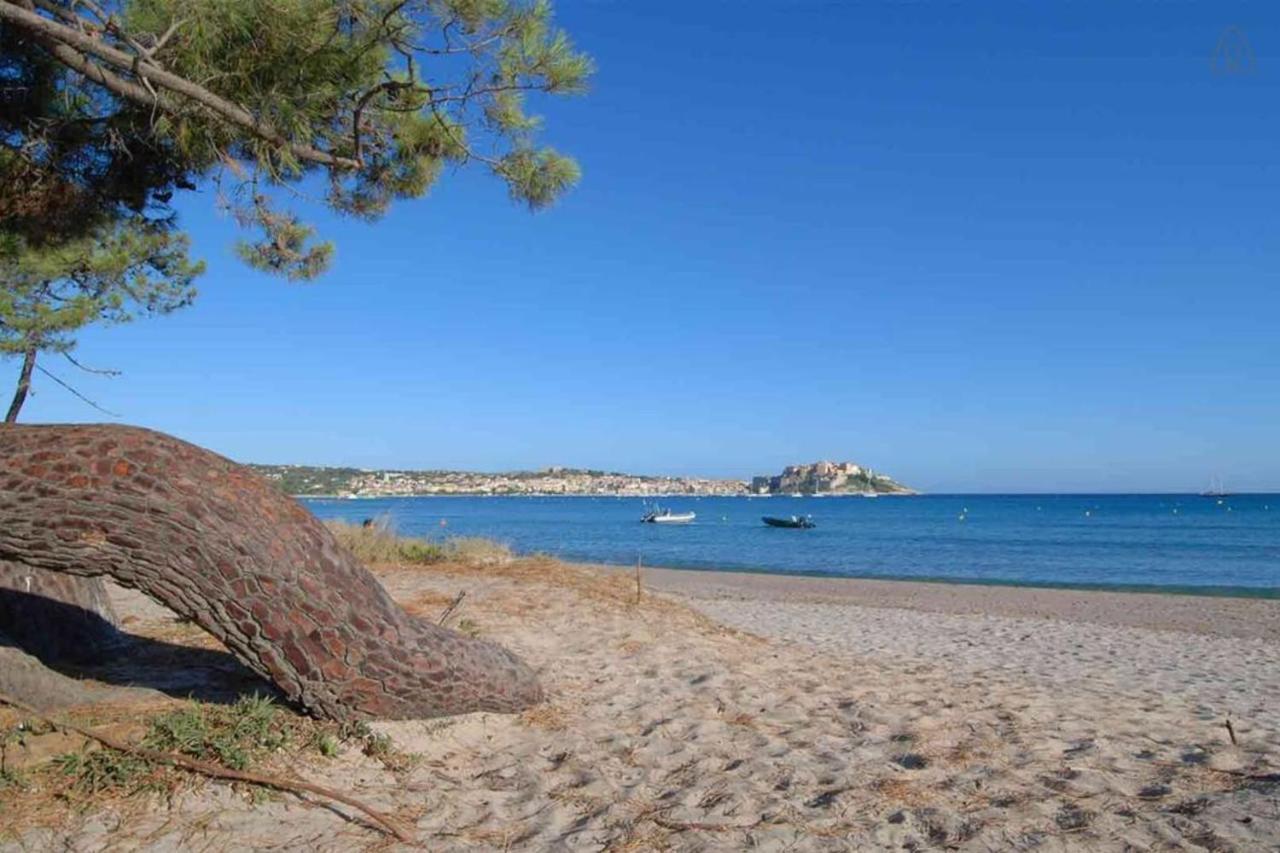 L'orangeraie Calvi Centre A 300m De La Et Du Port Parking Prive Apartment Calvi (Corsica)